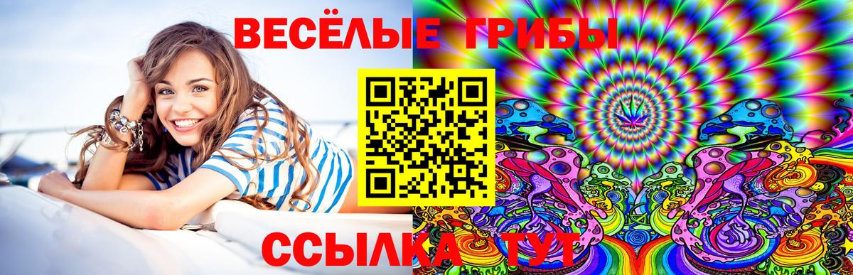 Псилоцибиновые грибы Psilocybe  Галлюциногенные грибы Psilocybine cubensis  Кингисепп  Вход с VPN 